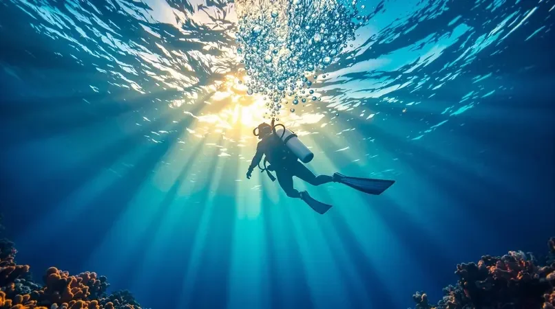 深海潜水封面 - 珊瑚潮境影像